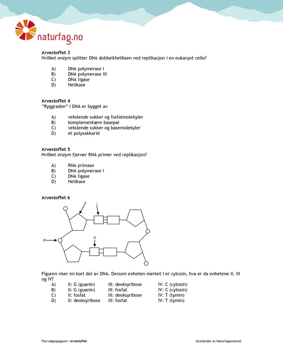 sukker og basemolekyler D) et polysakkarid Arvestoffet 5 vilket enzym fjerner RNA primer ved replikasjon?