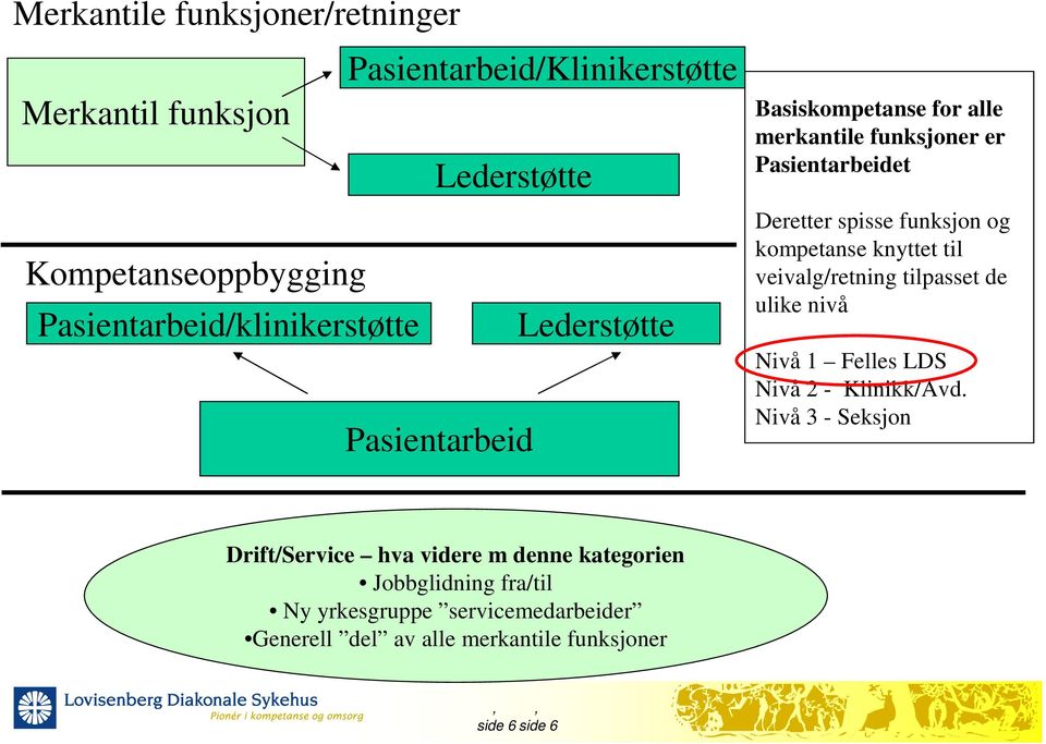 spisse funksjon og kompetanse knyttet til veivalg/retning tilpasset de ulike nivå Nivå 1 Felles LDS Nivå 2 - Klinikk/Avd.