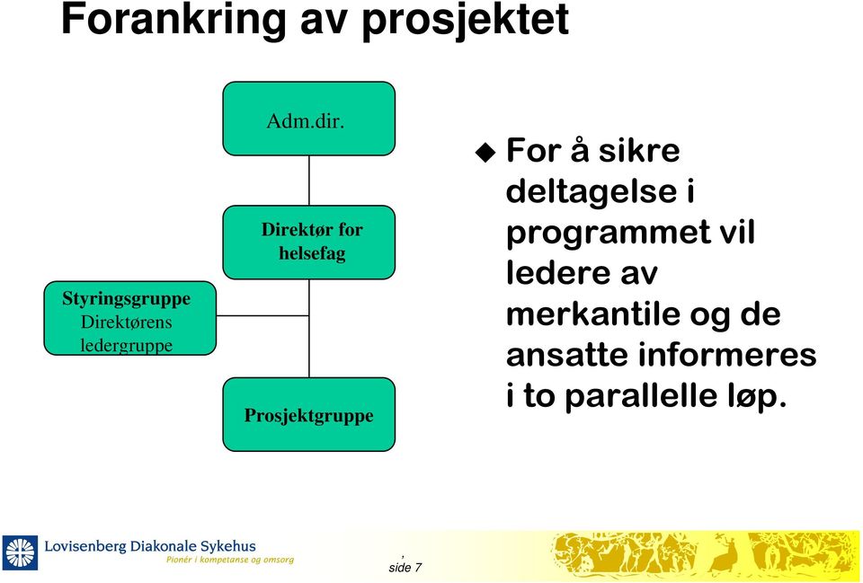 Direktør for helsefag Prosjektgruppe For å sikre