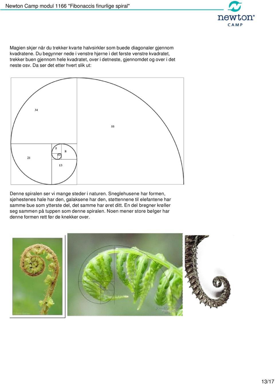 osv. Da ser det etter hvert slik ut: Denne spiralen ser vi mange steder i naturen.