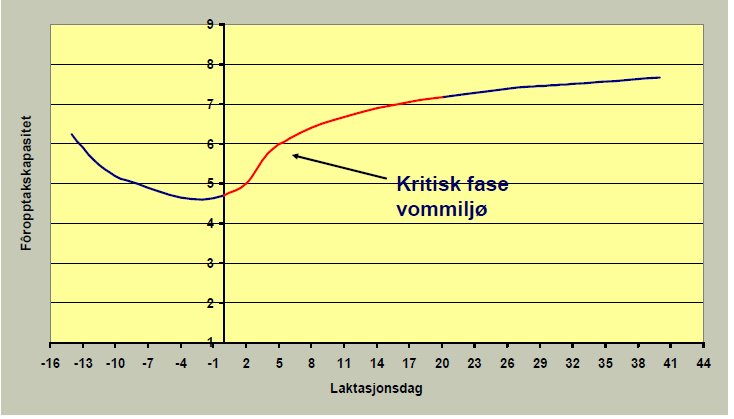 Rasjonen skal gi god fôrutnytting Kraftfôrstrategi som tar omsyn til geita sin kapasitet for grovfôropptak gjennom laktasjonen! Er vi gode nok på det?