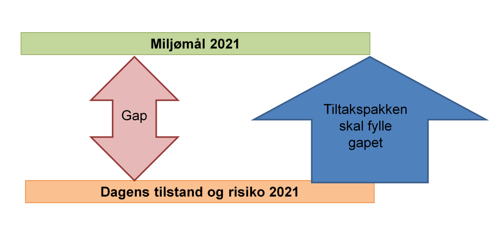 Frå tilstand og risiko