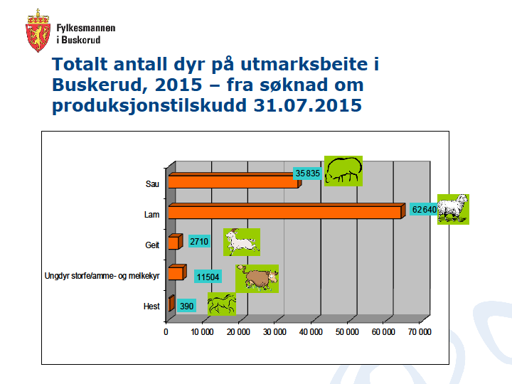 erstattet. Det er fortsatt gaupa som er den dominerende skadegjøreren i våre beiteområder. Gaupa står for 72 prosent av de erstattete tapene.