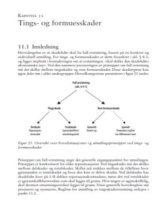 II Tings- og formuesskadeerstatning (kort) Utmålingsprinsipper - tings- og formuesskader Slå opp i Disposisjonsheftet s.