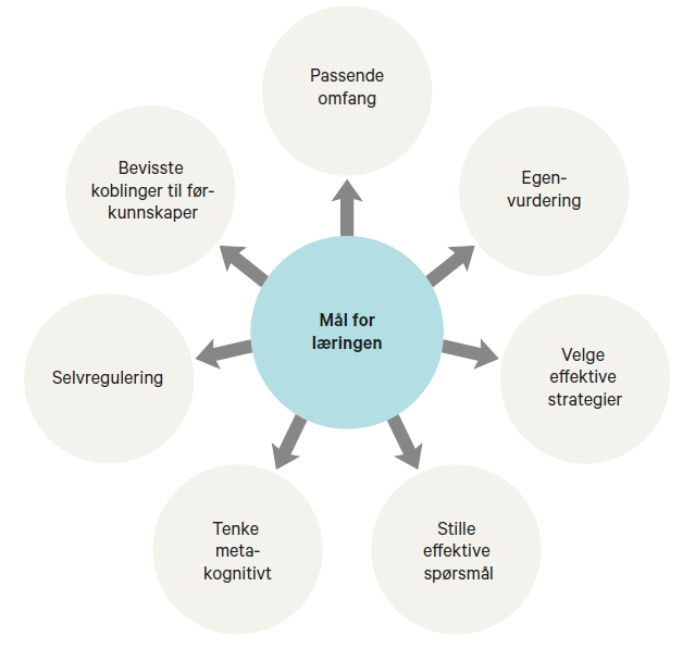 Elever og lærere har ulike perspektiv på læringsmålene Lærerens perspektiv: organisering og ledelse av klassens og elevenes læring Elever