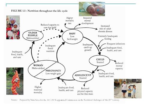 Oppgave 4b.. (7.5 poeng 3.75 poeng for hver del) Forklar hvordan underernæring hos mor antas å påvirke barnets risiko for underernæring og for fedme/overvekt.