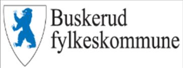 Ekstern vurdering Ringerike videregående skole 24.-27.