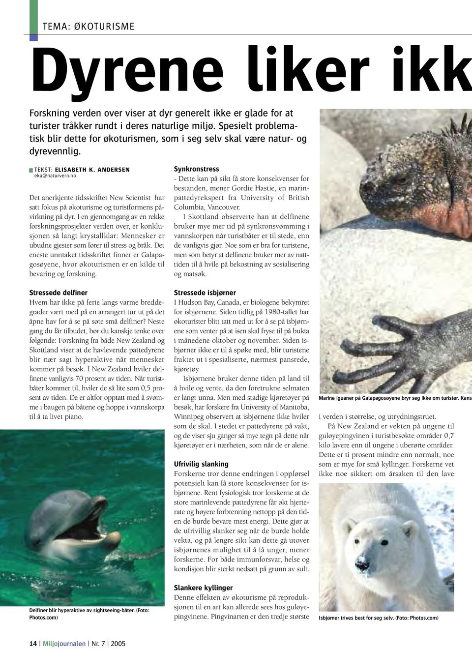 no Det anerkjente tidsskriftet New Scientist har satt fokus på økoturisme og turistformens på - virkning på dyr.