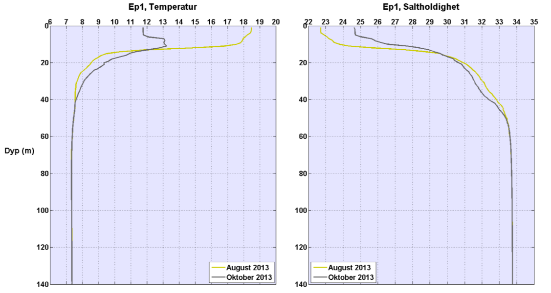 Figurene til høyre viser temperatur og saltholdighet ved stasjon Dk1 i Vestfjorden (øverst) og Ep1 i Bunnefjorden (nederst) i august (gul) og i oktober (grå).