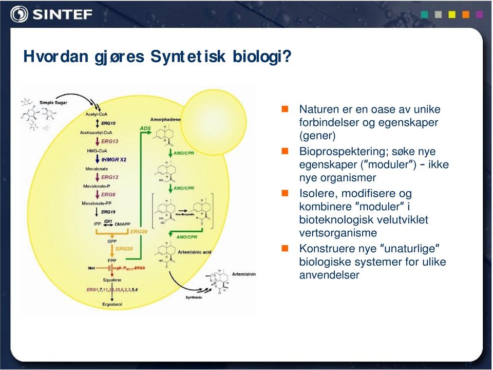 søke nye egenskaper ( moduler ) ikke nye organismer Isolere, modifisere og