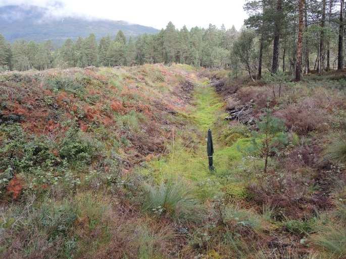 2 Metode og materiale 2.1 Undersøkelsesområdet Sætremyrane naturreservat (UTMWGS84 32V LP 72-74,75) ligger i Hornindal kommune i Sogn og Fjordane, sentralt i Honndalen like sør for Horndøla.