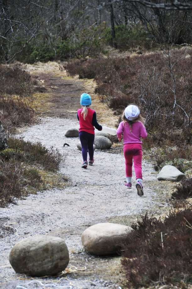 Kantina, Meløy rådhus Gratis frukt/grønt for ansatte. Reipå barnehage Barna er ute hele uka «puinn Tuven». Barnehagen ønsker besøk av andre barnehager (kontakt styrer), foreldre, besteforeldre m.