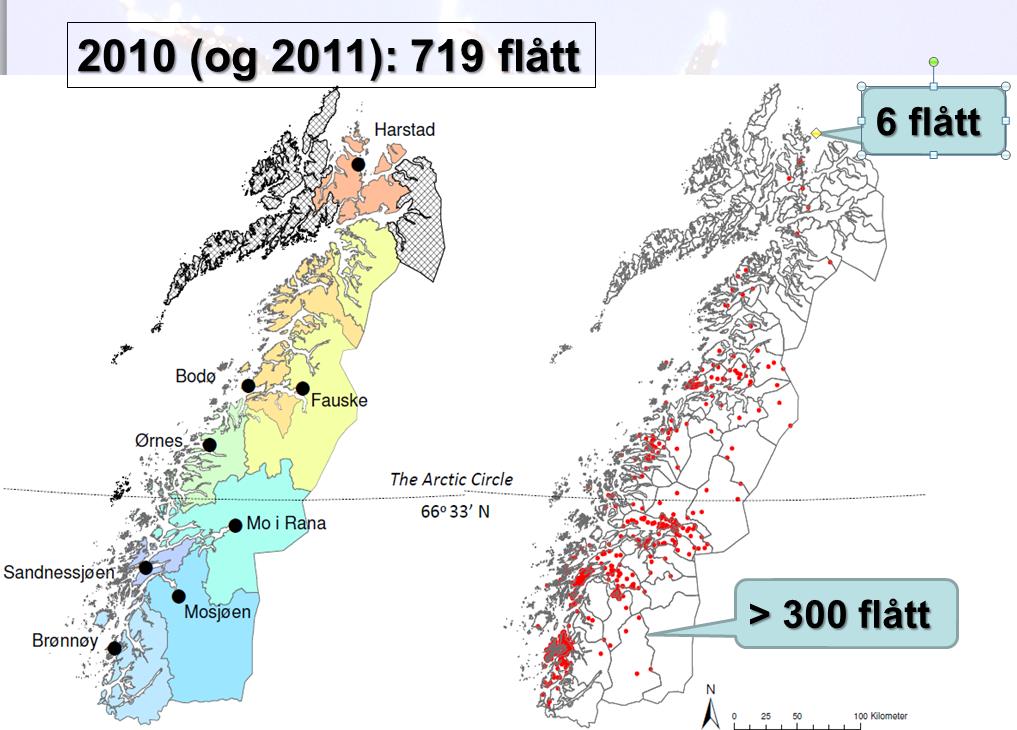 Borrelia positive flått De 7 stedene nord