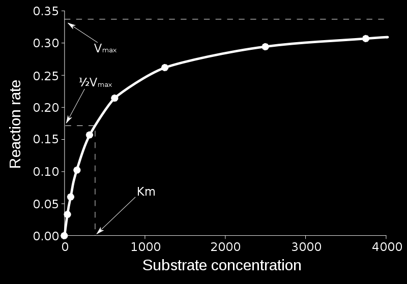 4 Figur 12. Figuren viser en Michaelis-Menten kurve hvor reaksjonshastigheten er plottet som funksjon av substrat konsentrasjonen.