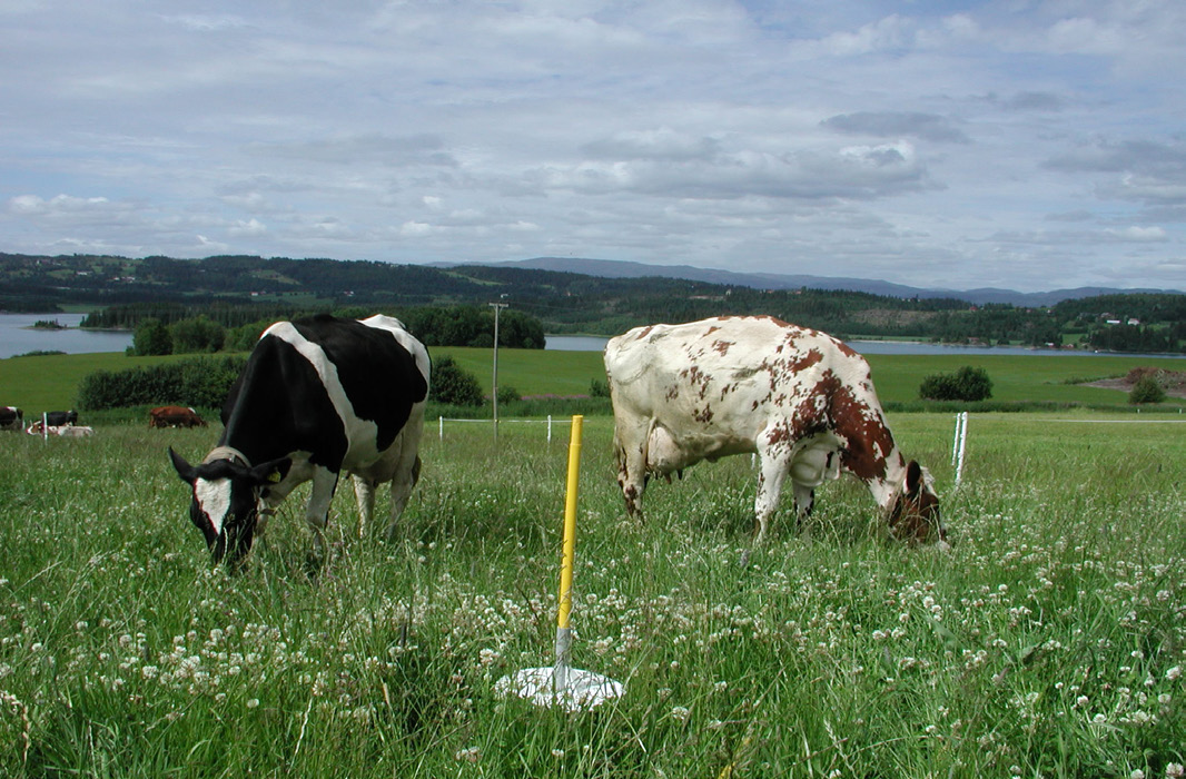 > Avlingskampen i AGROPRO 2016 av Lars Nesheim, NiBIO og Norsk landbruksrådgivning (NLR) I år har vi utfordret seks dyktige melkeprodusenter med hver sin lokale rådgiver til å konkurrere om store