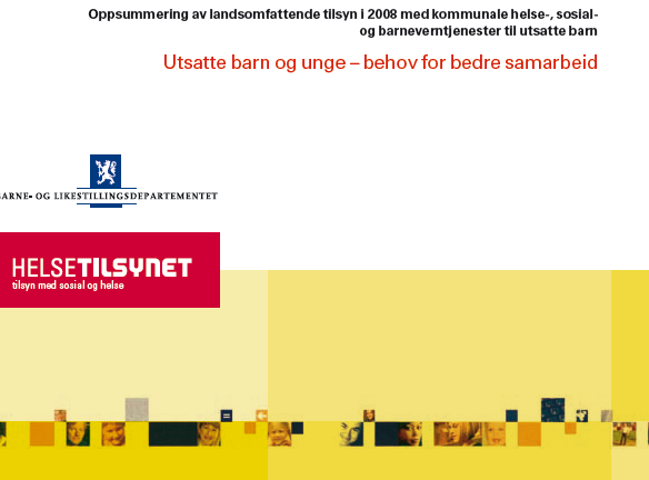 Rapport fra Helsetilsynet 5/2009: Hva så tilsynet på?