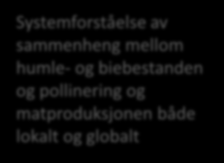 andre kilder om hvilken rolle humler og bier har i pollineringen Tro på at de kan bidra til å bevare humler og bier Lage modell av insekthotell, kasser for humlebol