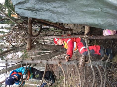 Som en del av Student Ingvilds arbeid med konstruksjon her på Himmeltoppen ble det laget en Gapahuk oppe i Kystadskogen.