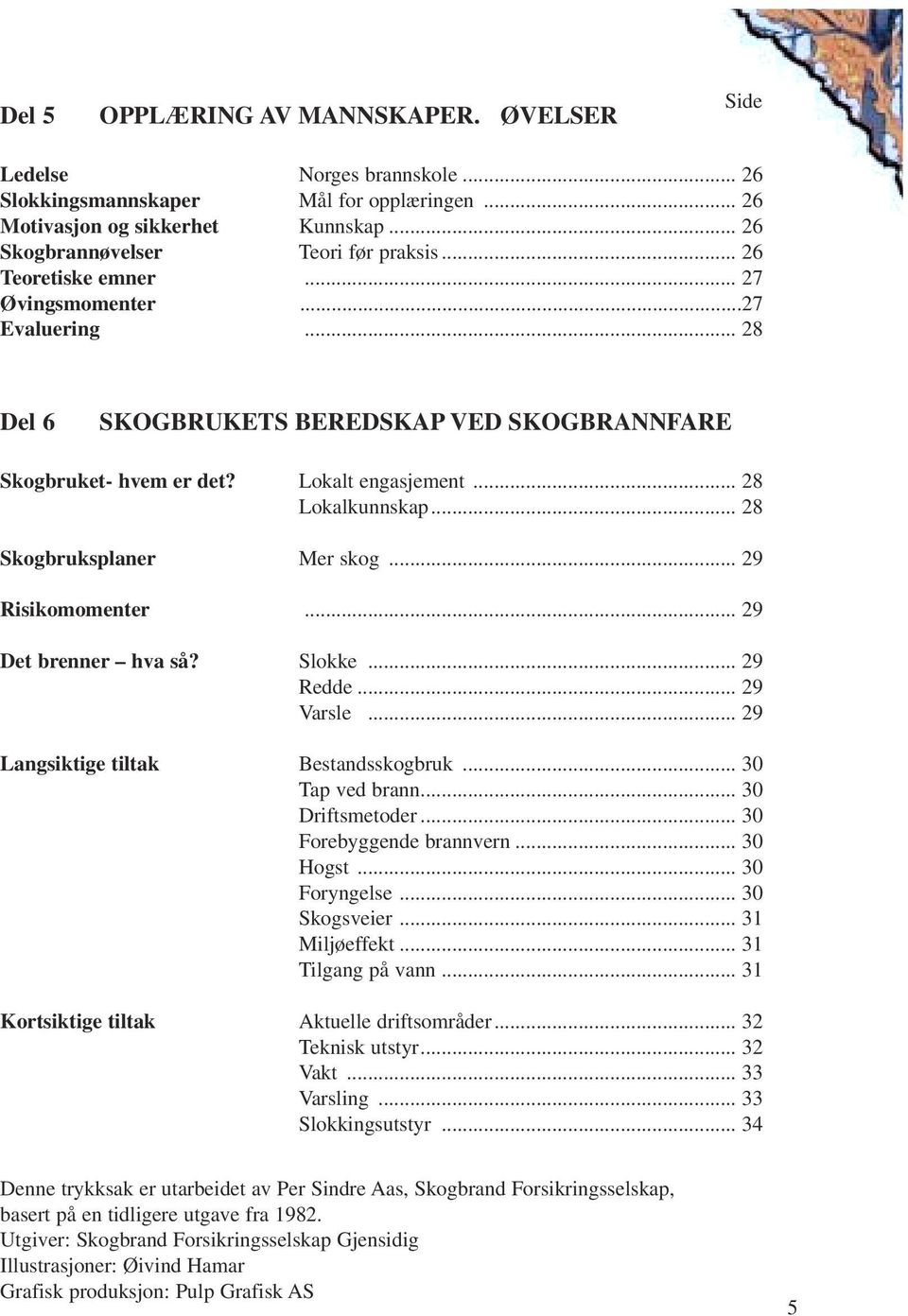 .. 28 Skogbruksplaner Mer skog... 29 Risikomomenter... 29 Det brenner hva så? Slokke... 29 Redde... 29 Varsle... 29 Langsiktige tiltak Bestandsskogbruk... 30 Tap ved brann... 30 Driftsmetoder.