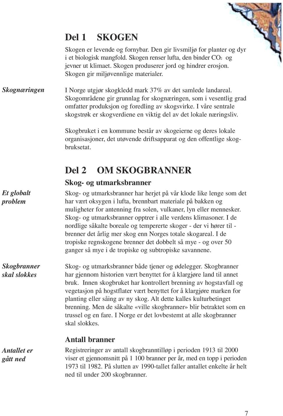 Skogområdene gir grunnlag for skognæringen, som i vesentlig grad omfatter produksjon og foredling av skogsvirke. I våre sentrale skogstrøk er skogverdiene en viktig del av det lokale næringsliv.