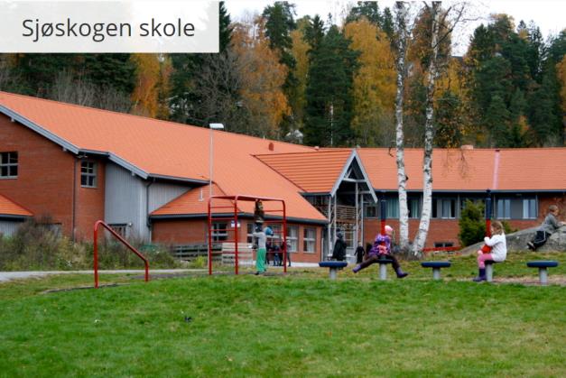 TILSTANDSRAPPORT FOR SJØSKOGEN SKOLE 2015 Innholdsfortegnelse 1 Sammendrag.