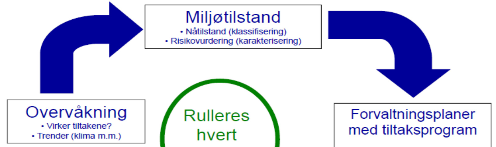 Juli 2012 Vesentlige spørsmål innen 1.