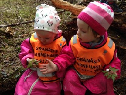 Tur til kongleskogen Fredag 20. mai gikk vi sammen med Bekken på en spontan tur til Kongleskogen.