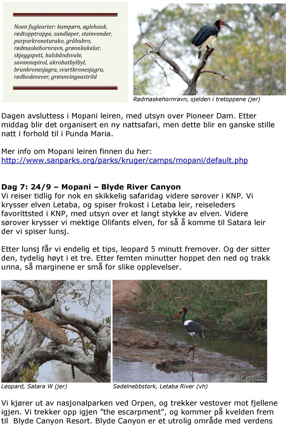 Etter middag blir det organisert en ny nattsafari, men dette blir en ganske stille natt i forhold til i Punda Maria. Mer info om Mopani leiren finnen du her: http://www.sanparks.