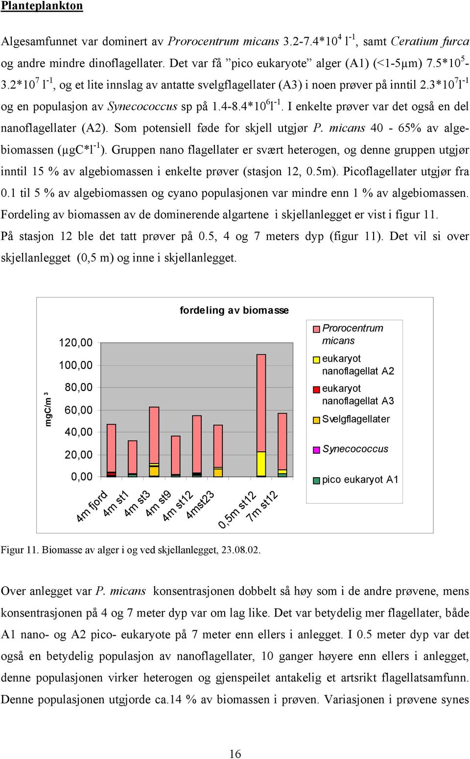 I enkelte prøver var det også en del nanoflagellater (A2). Som potensiell føde for skjell utgjør P. micans 4-65% av algebiomassen (µgc*l -1 ).