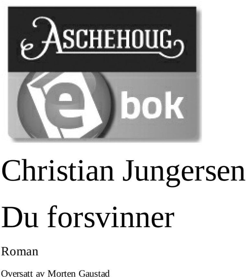 forsvinner Roman