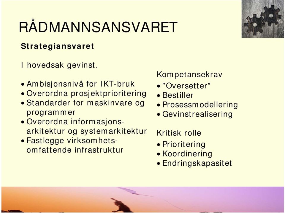 programmer Overordna informasjonsarkitektur og systemarkitektur Fastlegge virksomhetsomfattende