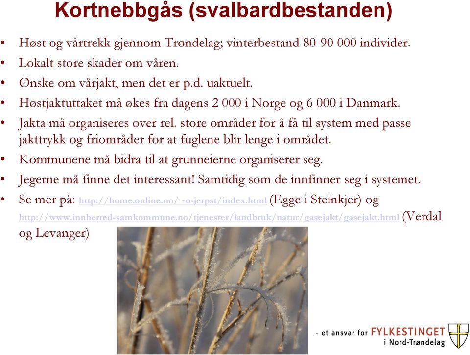 store områder for å få til system med passe jakttrykk og friområder for at fuglene blir lenge i området. Kommunene må bidra til at grunneierne organiserer seg.