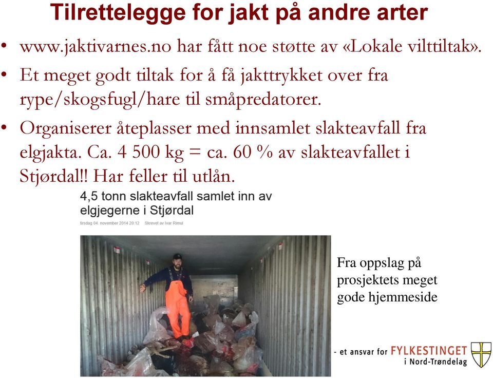 Et meget godt tiltak for å få jakttrykket over fra rype/skogsfugl/hare til småpredatorer.