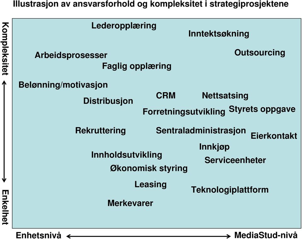 Nettsatsing Forretningsutvikling Styrets oppgave Rekruttering Sentraladministrasjon Innholdsutvikling