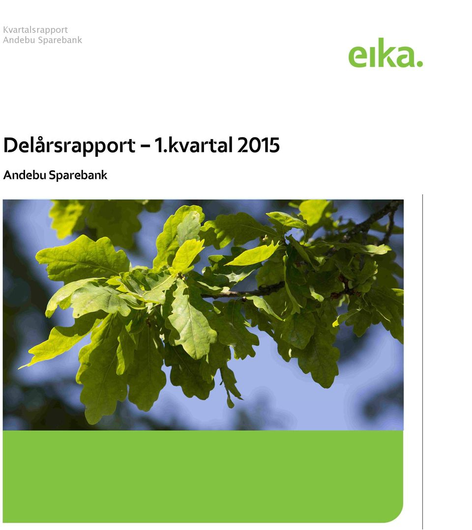 Delårsrapport 1.