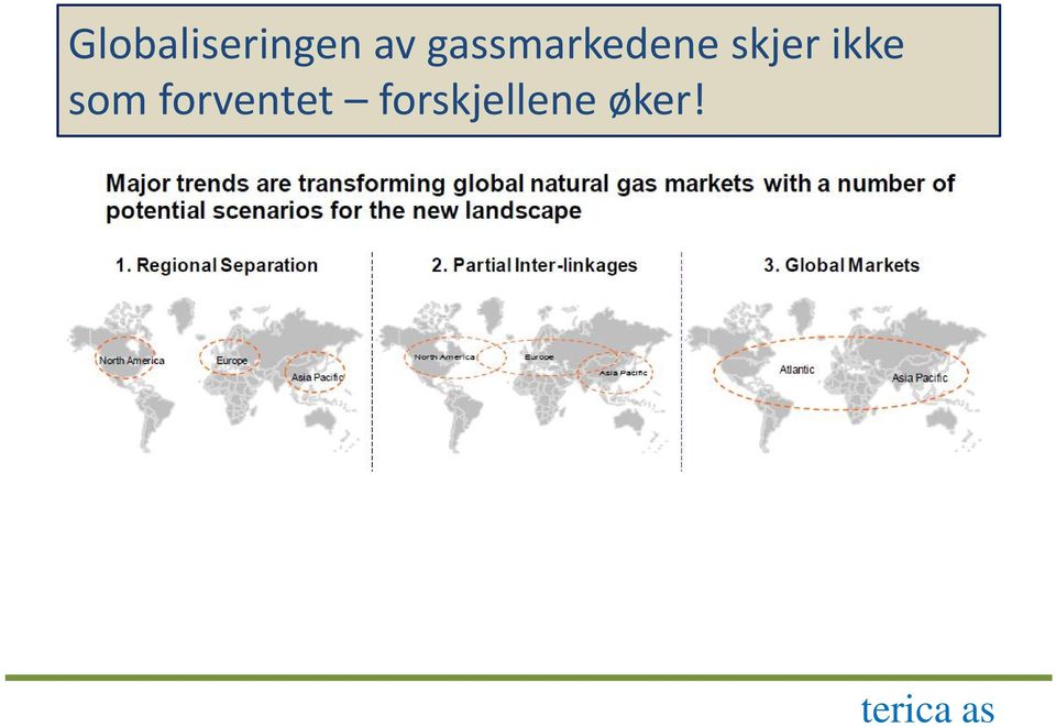 Ved fremveksten av LNG som commodity har sterke krefter argumentert for et globalt gassmarked, herunder IEA.