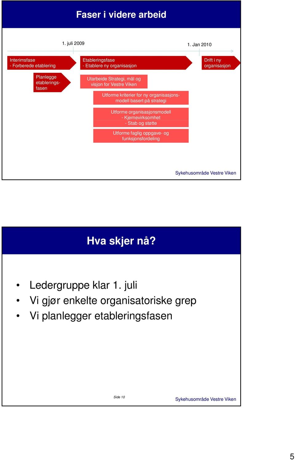 Strategi, mål og visjon for Vestre Viken Utforme kriterier for ny organisasjonsmodell basert på strategi Utforme