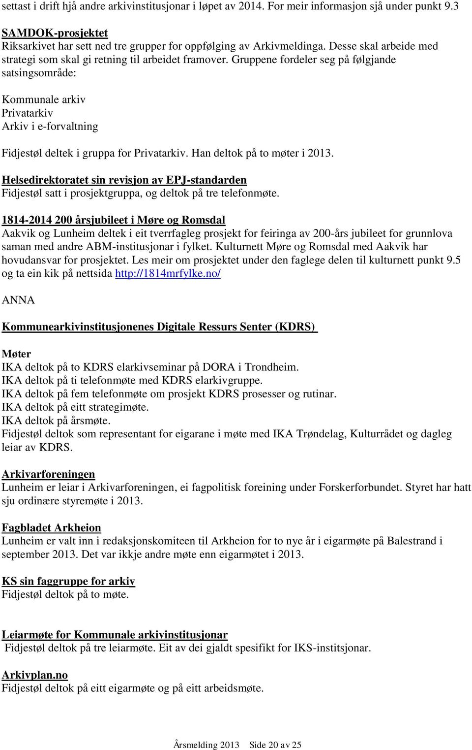 Gruppene fordeler seg på følgjande satsingsområde: Kommunale arkiv Privatarkiv Arkiv i e-forvaltning Fidjestøl deltek i gruppa for Privatarkiv. Han deltok på to møter i 2013.