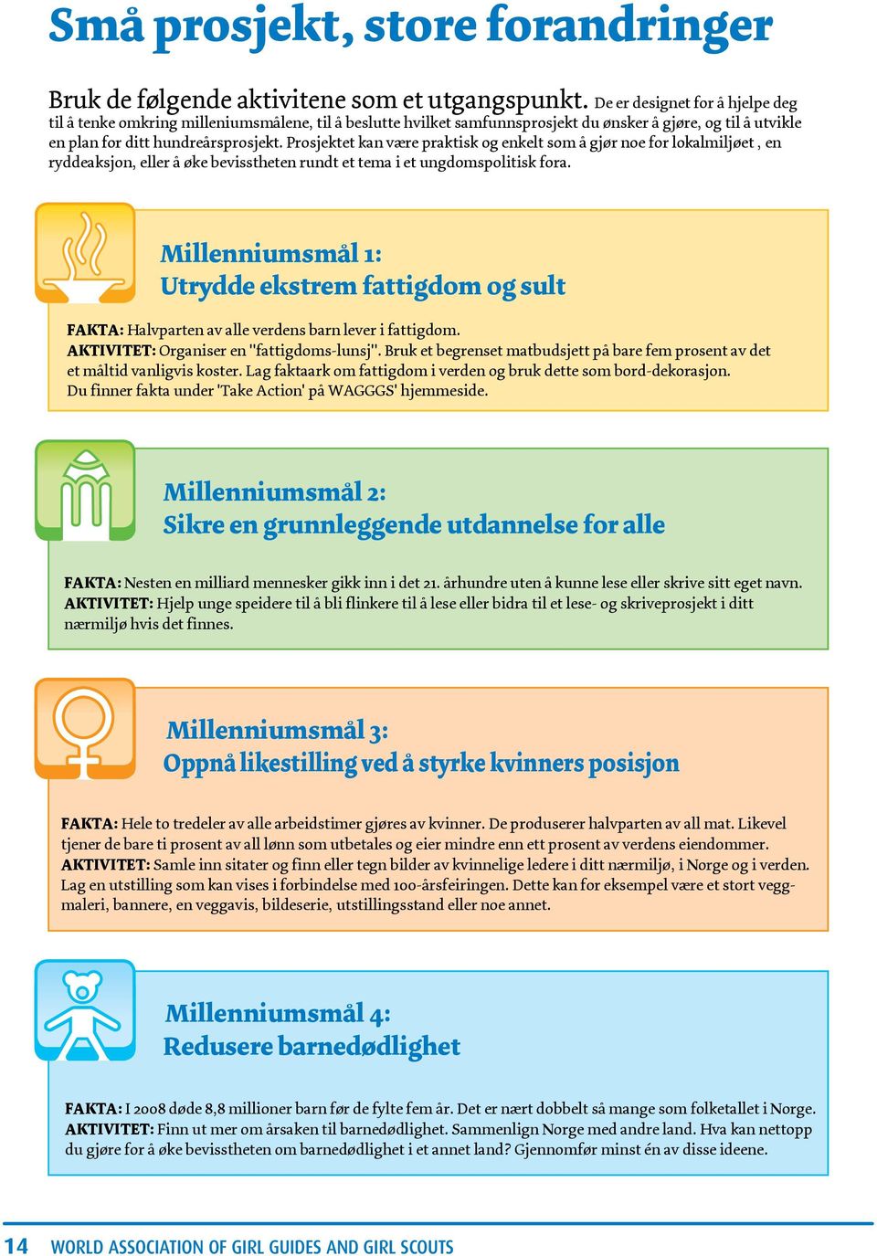 Prosjektet kan være praktisk og enkelt som å gjør noe for lokalmiljøet, en ryddeaksjon, eller å øke bevisstheten rundt et tema i et ungdomspolitisk fora.