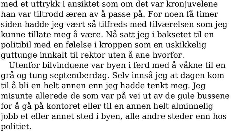 Nå satt jeg i baksetet til en politibil med en følelse i kroppen som en uskikkelig guttunge innkalt til rektor uten å ane hvorfor.