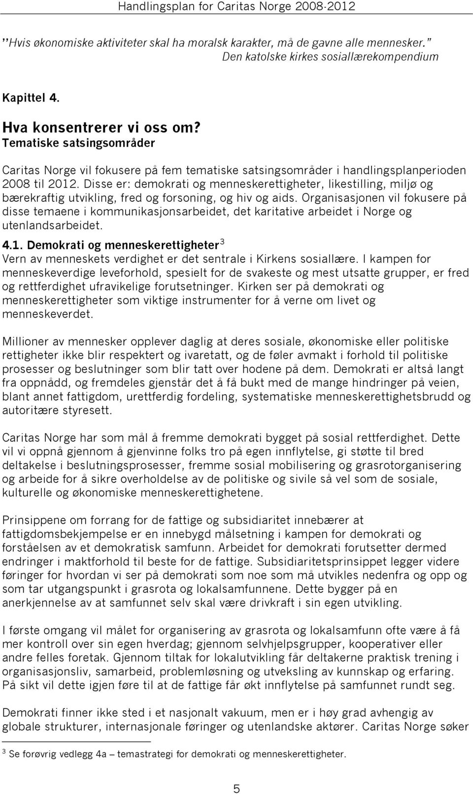 Disse er: demokrati og menneskerettigheter, likestilling, miljø og bærekraftig utvikling, fred og forsoning, og hiv og aids.