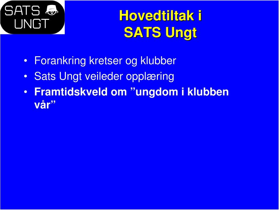 Sats Ungt veileder opplæring