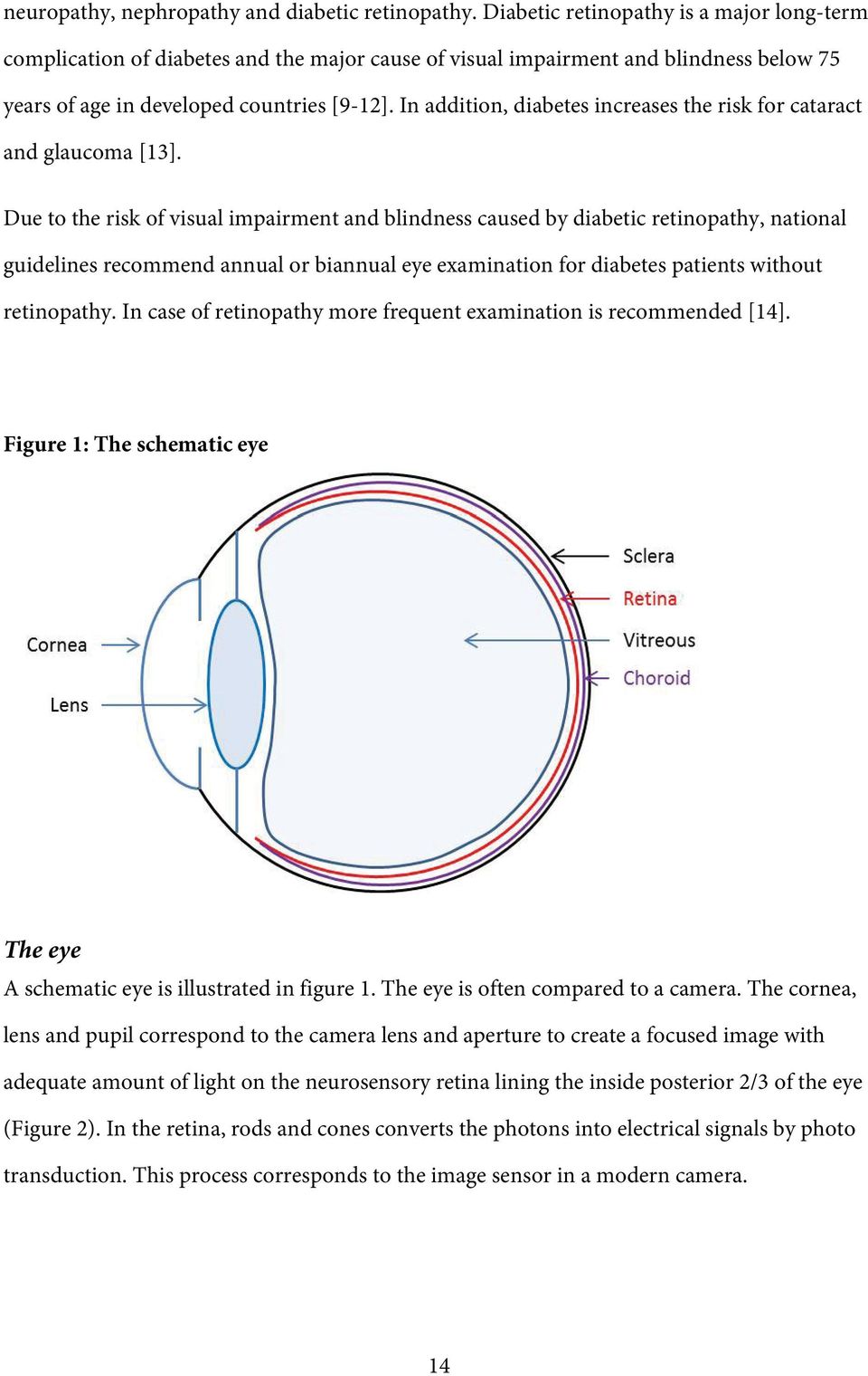 In addition, diabetes inreases the risk for atarat and glauoma [13].