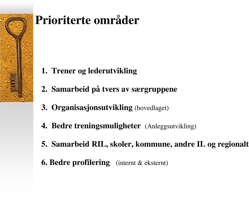 Organisasjonsutvikling (hovedlaget) 4.