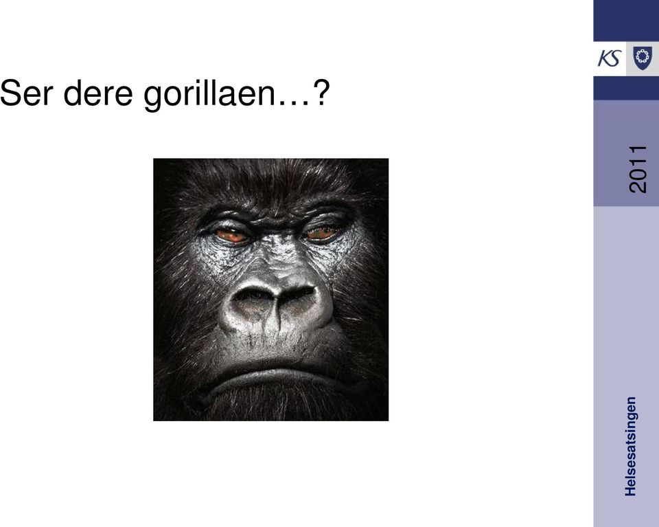 gorillaen?