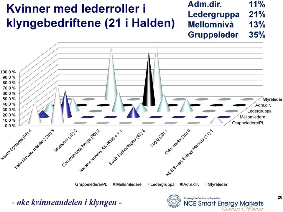 60,0 % 50,0 % 40,0 % 30,0 % 20,0 % 10,0 % 0,0 % Styreleder Adm.dir.