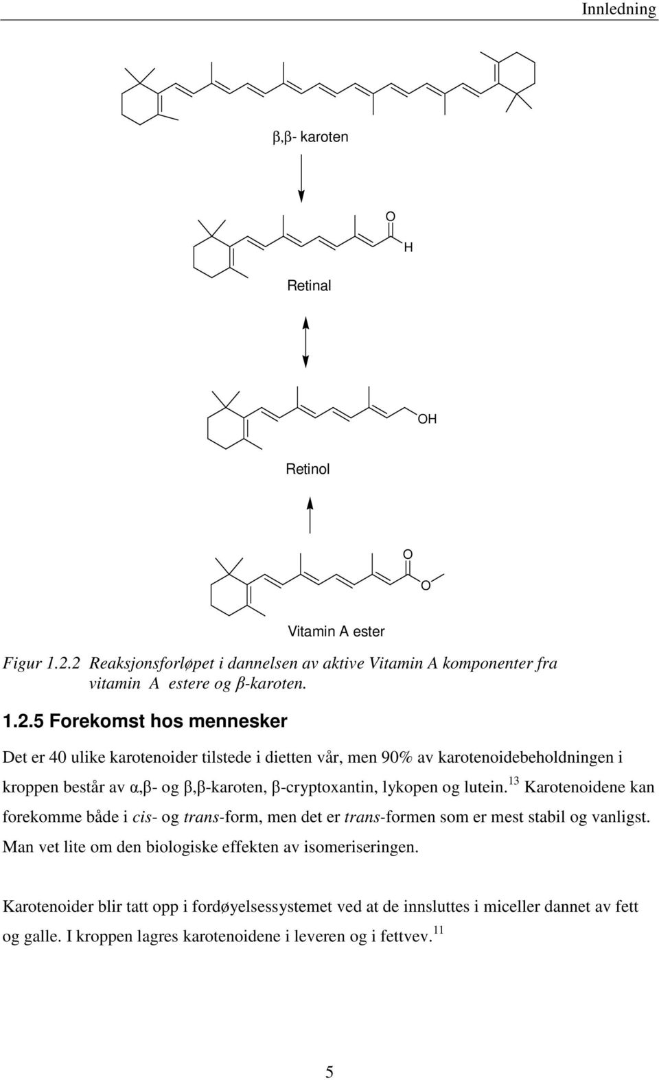 dietten vår, men 90% av karotenoidebeholdningen i kroppen består av α,β- og β,β-karoten, β-cryptoxantin, lykopen og lutein.