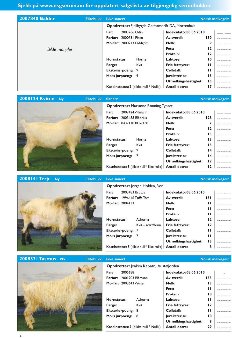 Avlsverdi: 130 Morfar: 2000213 Oddgrim Melk: 9.