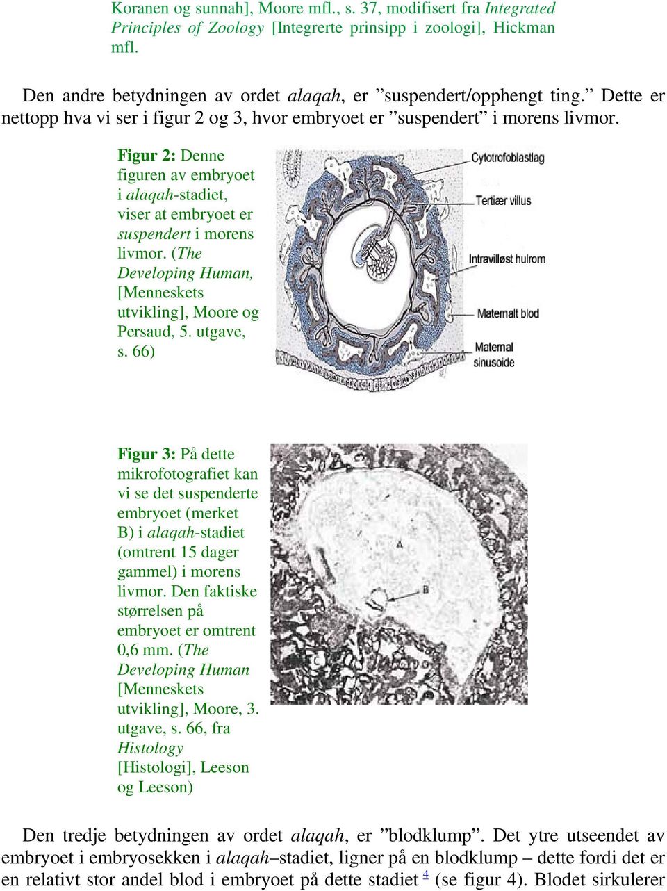 (The Developing Human, [Menneskets utvikling], Moore og Persaud, 5. utgave, s.