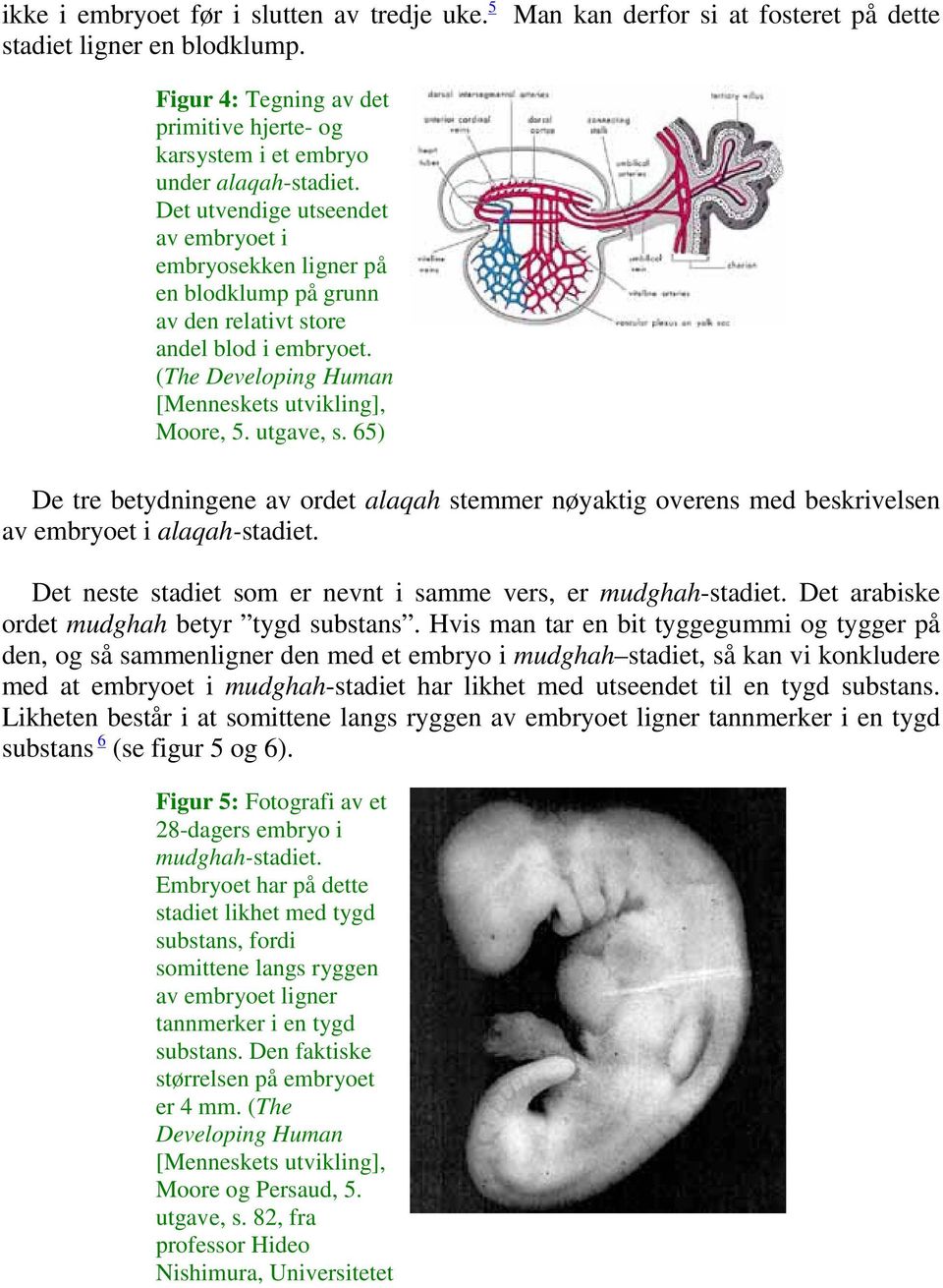 Det utvendige utseendet av embryoet i embryosekken ligner på en blodklump på grunn av den relativt store andel blod i embryoet. (The Developing Human [Menneskets utvikling], Moore, 5. utgave, s.